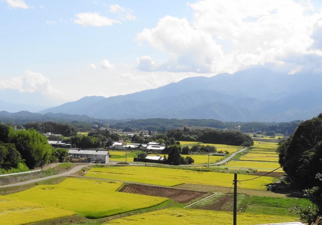 水彩画 その24「黄金色の田園風景」: 八ヶ岳高原スローライフ